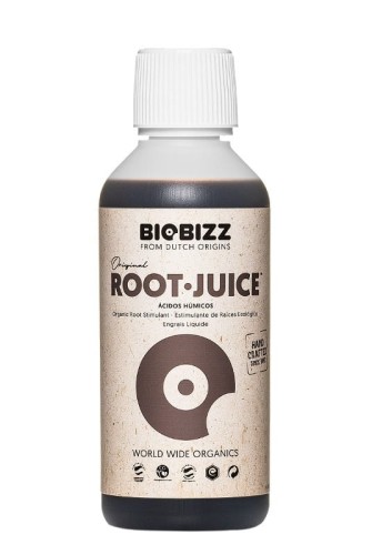 root-juce 0,25.jpg