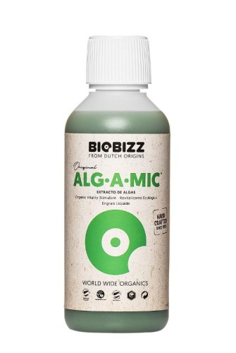 alga-mic 0,25.jpg