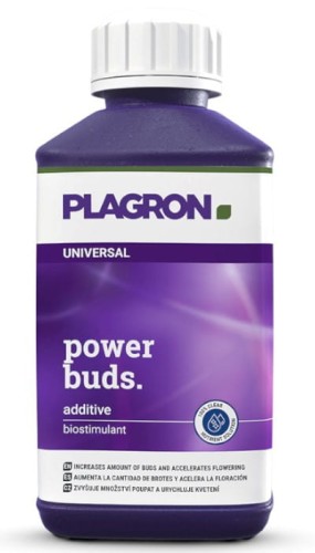 power buds 250.jpg