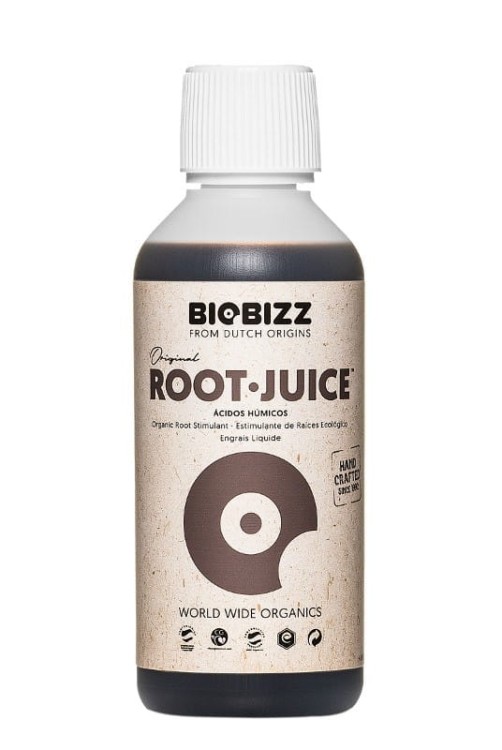 root-juce 0,25.jpg