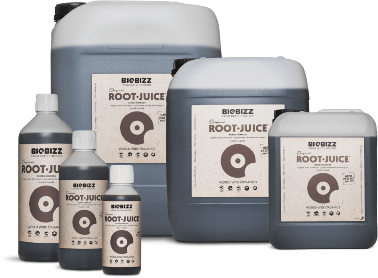 Root·Juice-Family-EU.png