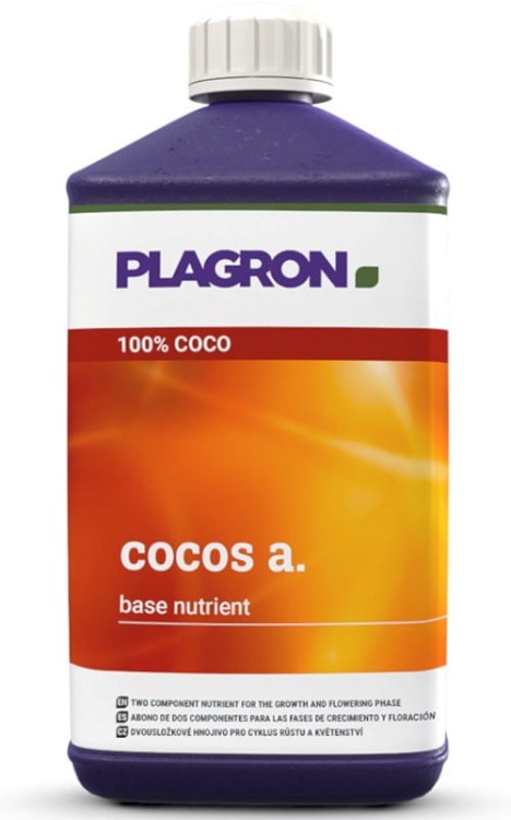 coco a.jpg