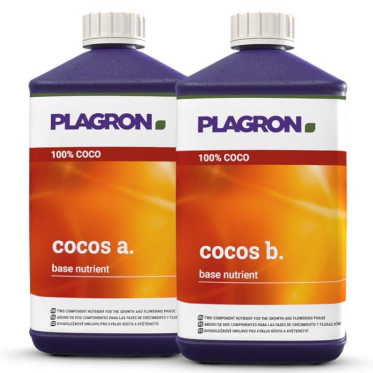 cocos a+b.jpg