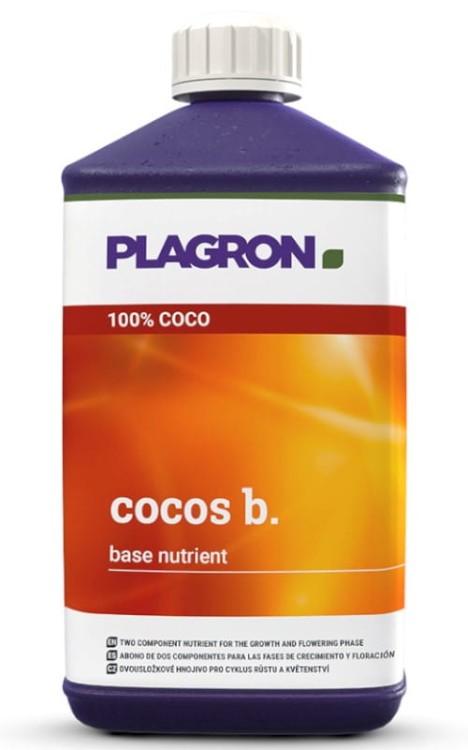cocos b.jpg