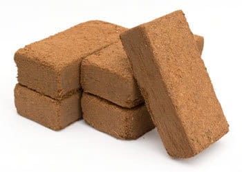 plargon cocos brix growsklep.jpg