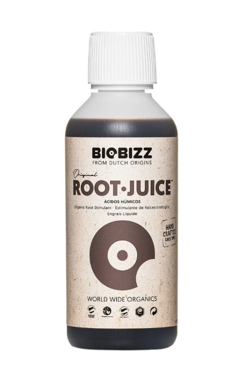 root-juce 0,25.jpg