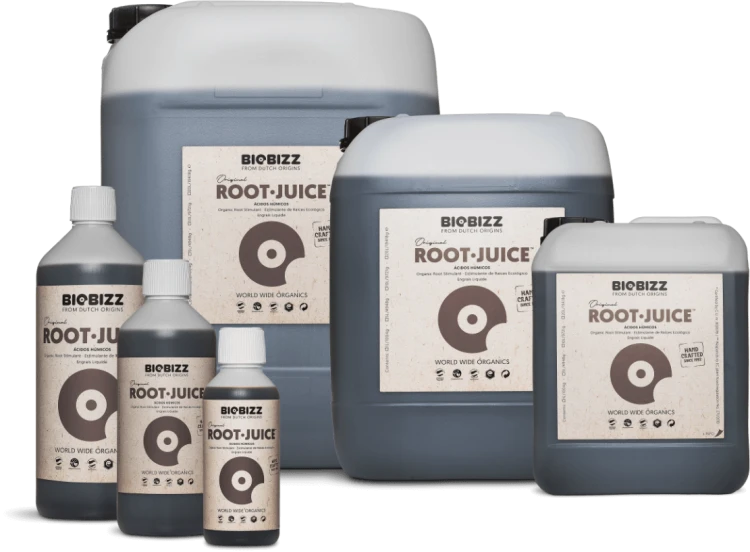 Root·Juice-Family-EU.png